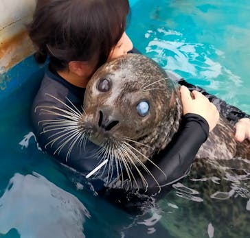 南知多ビーチランド＆南知多おもちゃ王国に投稿された画像（2024/9/24）