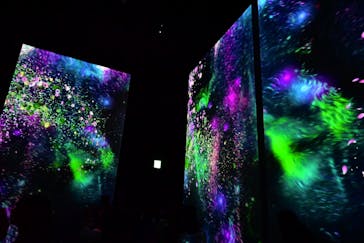 モネ＆フレンズ・アライブに投稿された画像（2024/9/24）