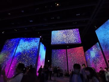 モネ＆フレンズ・アライブに投稿された画像（2024/9/24）