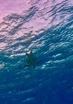 Simple marine service（シンプルマリンサービス）に投稿された画像（2024/9/22）