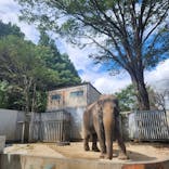 宇都宮動物園に投稿された画像（2024/9/25）
