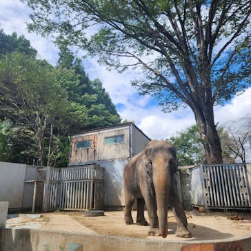 宇都宮動物園に投稿された画像（2024/9/24）