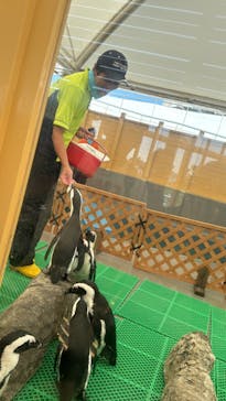 名古屋港水族館に投稿された画像（2024/9/24）