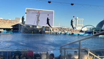 名古屋港水族館に投稿された画像（2024/9/24）