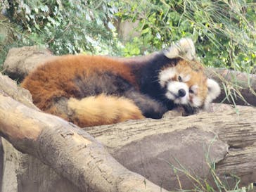 那須どうぶつ王国に投稿された画像（2024/9/24）