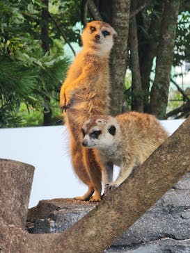 那須どうぶつ王国に投稿された画像（2024/9/24）