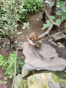 那須どうぶつ王国に投稿された画像（2024/9/24）