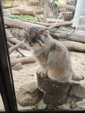 那須どうぶつ王国に投稿された画像（2024/9/24）