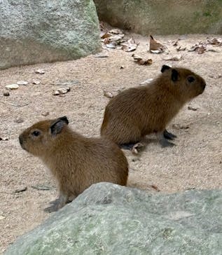 姫路セントラルパークに投稿された画像（2024/9/24）