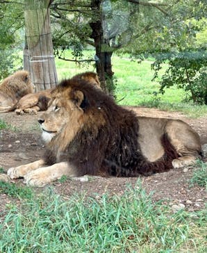 姫路セントラルパークに投稿された画像（2024/9/24）