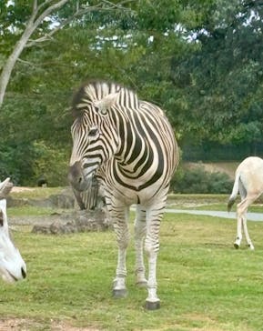 姫路セントラルパークに投稿された画像（2024/9/24）