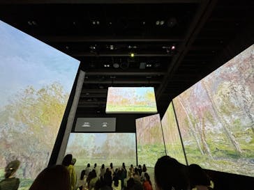 モネ＆フレンズ・アライブに投稿された画像（2024/9/24）