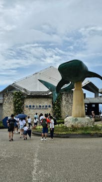 沖縄美ら海水族館に投稿された画像（2024/9/24）