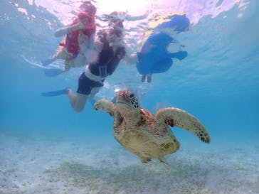 ちゃこたびに投稿された画像（2024/9/24）