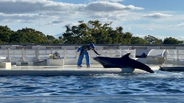 京都水族館に投稿された画像（2024/9/24）