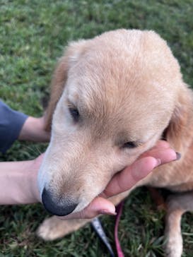 つくばわんわんランドに投稿された画像（2024/9/25）