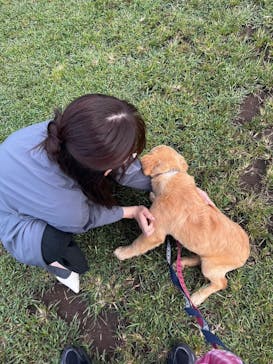 つくばわんわんランドに投稿された画像（2024/9/25）