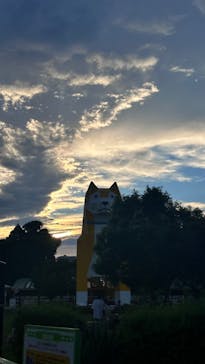 つくばわんわんランドに投稿された画像（2024/9/25）