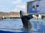 名古屋港水族館に投稿された画像（2024/9/25）