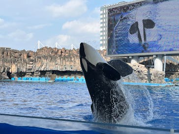 名古屋港水族館に投稿された画像（2024/9/25）