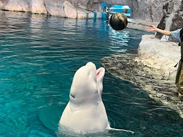 名古屋港水族館に投稿された画像（2024/9/25）