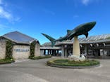 沖縄美ら海水族館に投稿された画像（2024/9/25）
