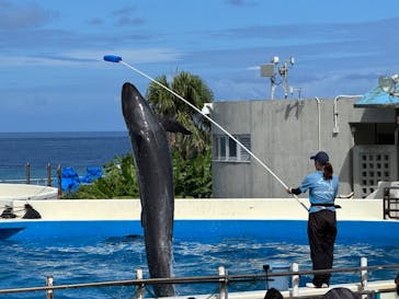 沖縄美ら海水族館に投稿された画像（2024/9/25）