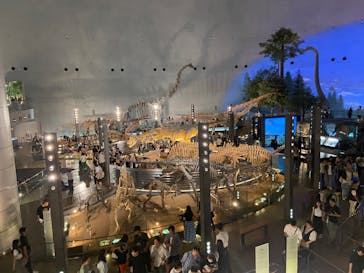 福井県立恐竜博物館に投稿された画像（2024/9/25）