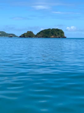 思い出販売所 美ら海に投稿された画像（2024/9/25）