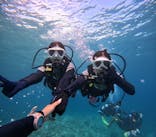 沖縄マリンサービス碧に投稿された画像（2024/9/25）