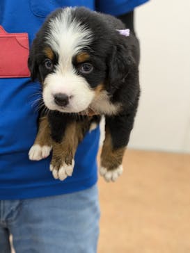 つくばわんわんランドに投稿された画像（2024/9/25）