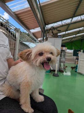 つくばわんわんランドに投稿された画像（2024/9/25）