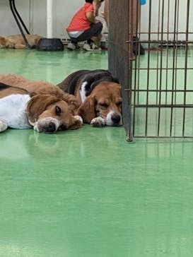 つくばわんわんランドに投稿された画像（2024/9/25）