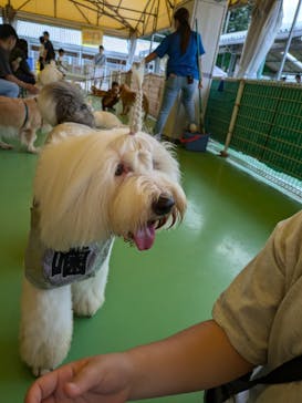 つくばわんわんランドに投稿された画像（2024/9/25）