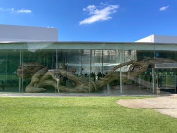 金沢21世紀美術館に投稿された画像（2024/9/25）