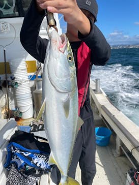 釣り船まるかつに投稿された画像（2024/9/25）