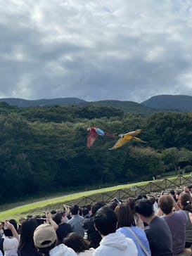 那須どうぶつ王国に投稿された画像（2024/9/25）