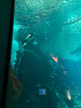 マリンワールド海の中道に投稿された画像（2024/9/25）