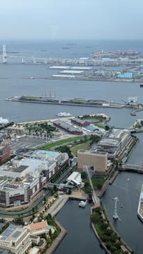横浜ランドマークタワー 69階展望フロア スカイガーデンに投稿された画像（2024/9/25）