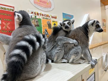 アニタッチららぽーと名古屋みなとアクルスに投稿された画像（2024/9/25）