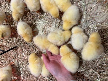 アニタッチららぽーと名古屋みなとアクルスに投稿された画像（2024/9/25）