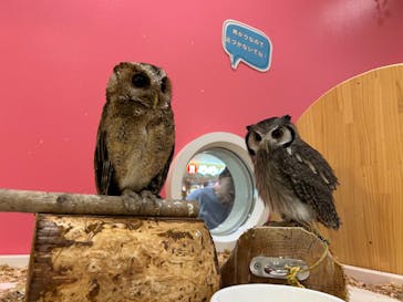 アニタッチららぽーと名古屋みなとアクルスに投稿された画像（2024/9/25）