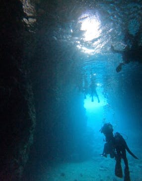 武藤潜水に投稿された画像（2024/9/25）