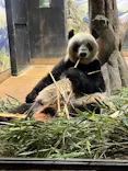 恩賜上野動物園に投稿された画像（2024/9/25）