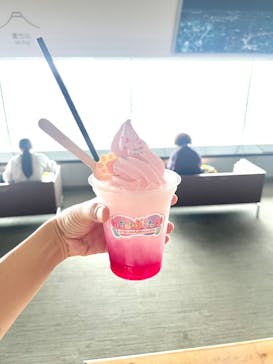 横浜ランドマークタワー 69階展望フロア スカイガーデンに投稿された画像（2024/9/25）