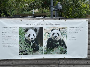 恩賜上野動物園に投稿された画像（2024/9/25）