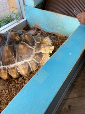 Moff animal cafe iias つくば店に投稿された画像（2024/9/25）