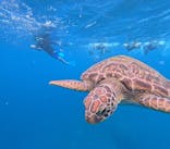  マリンショップHAPPYに投稿された画像（2024/9/25）