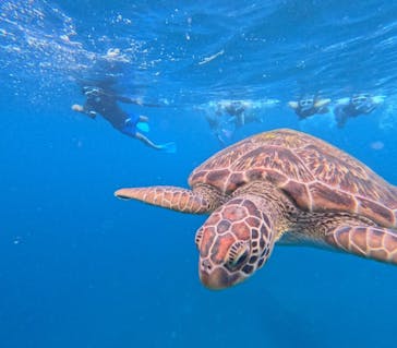  マリンショップHAPPYに投稿された画像（2024/9/25）