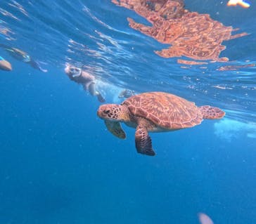  マリンショップHAPPYに投稿された画像（2024/9/25）